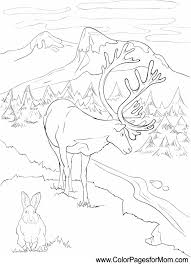 You could also print the image using the print button above the image. Landscape Coloring Page 14