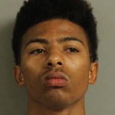 Man pleads guilty in assault of EL police officer