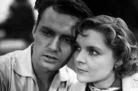 Filmdetails: Sommerliebe (1954)