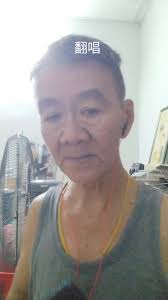 翻唱，樱花树下