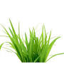 Grass Busters Plus from www.thegrassmaster.com