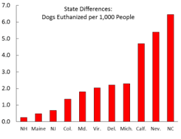 The Puzzling Geography Of Animal Shelter Dog Euthanasia