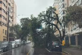 Chuva provoca queda de árvores em Curitiba e afeta voos no Aeroporto Afonso Pena