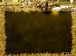 Anda akan mendapatkan slide penutup dan dua latar belakang slide. Ide Terkini Latar Ppt Yang Bagus