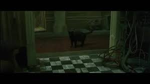 Discover the magic of the internet at imgur, a community powered entertainment destination. Deja Vu Is A Glitch In The Matrix