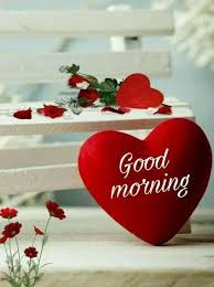 New Good Morning Images For Lover 2020 Download New Collection Good Morning Pitchers Wallpaper Dp In 2020 Good Morning Flowers Good Morning Love Good Morning Roses