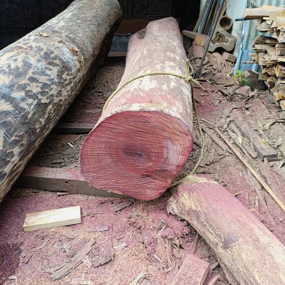 Rosewood logs,sizes,grades and many more