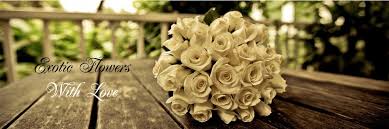 Choose from our delightful collection of rose bouquets, the arrangement of lilies, and a bunch of carnations to send flowers to bangalore. Gifts To Bangalore Flowers To Bangalore Science Institute Iisc Cake Bengaluru Science Institute Iisc