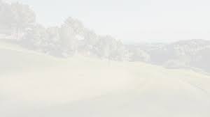 Champions Tour: Steve Gilley at 2023 PGA TOUR Champions Qualifying  Tournament-Final Stage 2022