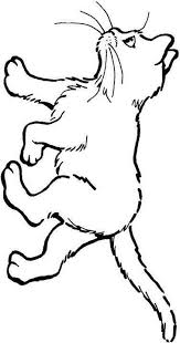 Ausmalbild Katze Katze Auf Kids N Fun De Auf Kids N Fun Sie Finden Immer Die Besten Malvorlagen Zuerst Ausmalbilder Katzen Malvorlage Katze Ausmalen