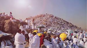 The best supplication is the supplication on the day of 'arafah and the best of what i and the prophets before me have said is: The Wonders Of The Day Of Arafah About Islam