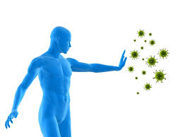 VER PRODUCTOS CON FACTOR DE TRANSFERENCIA