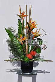 Check spelling or type a new query. Silk Blooms Ltd Artificial Orange Pincushion Protea And Bird Of Paradise Floral Arrangement W Bamboo And Green Succulents Silk Flower Arrangements