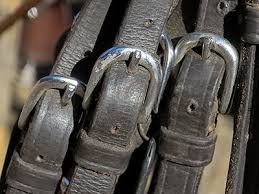 Image result for Harness Buckle Three Jigsaw Puzzle