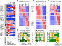 Identification And Massively Parallel Characterization Of