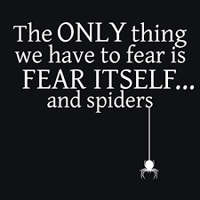 The Only Thing We Have To Fear No Fear Love Is Not A Game Na Im Najieb Funny Quotes Quotes Inspirational Quotes