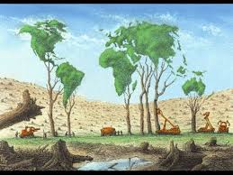 Qué es la germinación de una planta y reforestación. Deforestacion Youtube