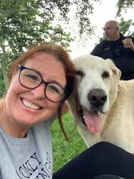 UPDATE: ADOPTED!🎉 Say hello to Elmer. Elmer is a Corgi & Jack Russell  Terrier mix and approximately 9½ years old. Elmer came to us when his  beloved owner had passed away. Elmer