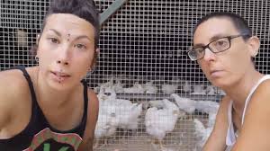 images?q=tbn:ANd9GcRYkHlCrkFtAIcf5_jX2r-7tsybKQyx9l-8ng&s