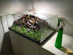 We did not find results for: The Soil Substrate Or Dirted Planted Tank A How To Guide Uk Aquatic Plant Society