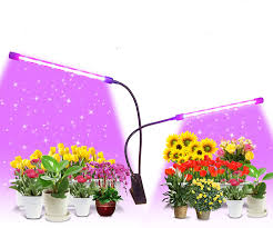 Amazon Com Grow Lights 40w Dual Head Plant Grow Lamp Lights Full Spectrum Growing Lights For Indoor Plant With 9 Dimmable Level 3 9 12h Timer Plant Grow Lights Bulb Plant Lamp