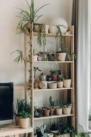 The Best Best 8 Easy Diy Plants Shelf Ideas For Wall Decoration Your Home Interior Https Hroo Indoor Plant Shelves Plant Stand Indoor Tall Plant Stand Indoor