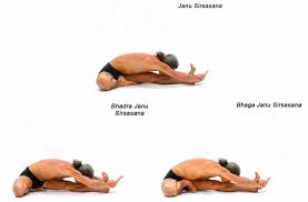 The Head To Knee Posture Janu Simon Borg Olivier Facebook