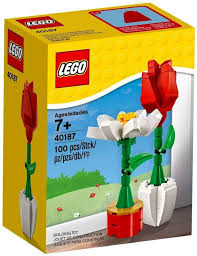 We did not find results for: Amazon Com Lego Flower Display 40187 100 Piece Set Toys Games