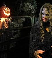 Maybe you would like to learn more about one of these? One Of The Scenes At Creepy Hollow Haunted Woods Picture Of Creepy Hollow Haunted Woods Spring Hill Tripadvisor