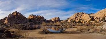 1.3 mi 2.1 km barker dam nature trail. Ein Tag Im Joshua Tree Nationalpark In Der Kalifornischen Wuste