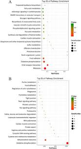 We did not find results for: Microrna 222 Attenuates Mitochondrial Dysfunction During Transmissible Gastroenteritis Virus Infection Sciencedirect