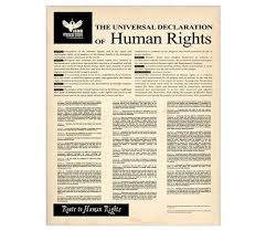 Universal Declaration Of Human Rights By Admin Store Cafepress Declaration Of Human Rights Human Rights Human Rights Essay
