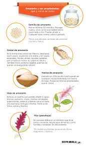Conoce El Amaranto Y Sus Propiedades Nutricionales Que Y Como Se Come