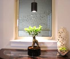 Check spelling or type a new query. Grow Light Wikipedia