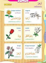 Jadi jika kita suatu saat kesulitan. Detail Gambar Nama Bunga Dalam Bahasa Arab