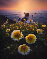 Michael Shainblum On Instagram Sometimes The Most Simple Things In Life Can Be The Most Beautif Landscape Photography Nature Photography Beautiful Landscapes
