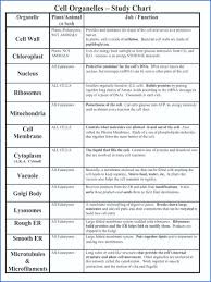 Genuine Cell Organelles Chart With Functions And Structure