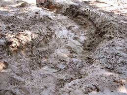 Pour the concrete from the mixer into a wheelbarrow and dump a load about every two feet down the length of the ditch. How To Install A Dry Creek Bed How Tos Diy