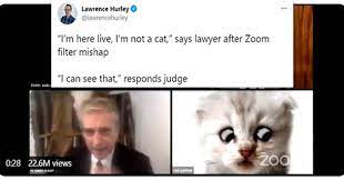 This utterance is a real treat. I Can Has Cheezburger Tweets Page 9 Funny Animals Online Cheezburger