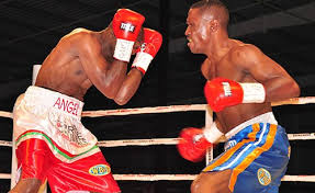 Do not think you can mold him into a dog that will accommodate your lifestyle. Namibian Boxer Fights For Welterweight Title Allafrica Com