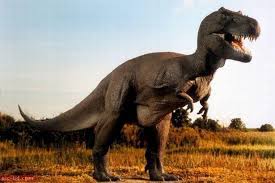 صور الديناصور معلومات وابحاث عن الديناصورات animal hybrids dinosaur images dinosaur