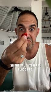 ☘ My Gorgeous Purple Basil Plant.☘ ☘ Isn't She Just BEAUTIFUL??? ☘