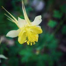 Pin On Gardening