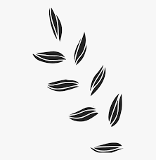 Pottering among the plants or going for a walk could halve risk of dying early, study shows. Brush Flower Stroke Png Transparent Png Transparent Png Image Pngitem