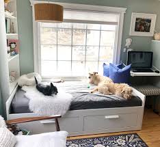24 Ideas For Designing Organizing A Dog Room Extra Space Storage