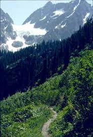 Traveled to endemic areas 5. Wikipedia Taking The Road Less Traveled Wikipedia