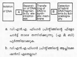 Pin By Ncert Solutions On Hsslive Kerala Board Solutions Model Question Paper Question Paper Previous Year Question Paper