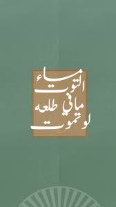 pin by عناد ديزاينر on اخرى funny photo memes graphic art prints wall collage