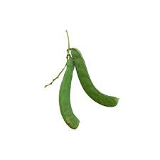 Image result for Canavalia ensiformis