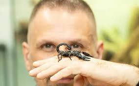 These Scientists Just Mapped Scorpion Hot Spots. Here's Why You Should  Care. | Sierra Club